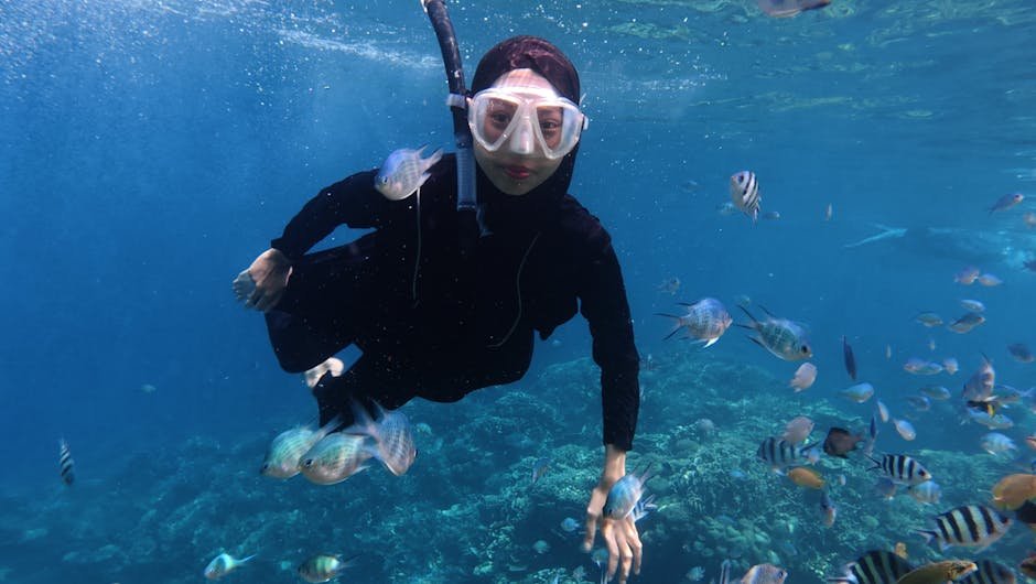 thelowdownunder Travel: Your Ultimate Insider Guide to Authentic Australian Adventures